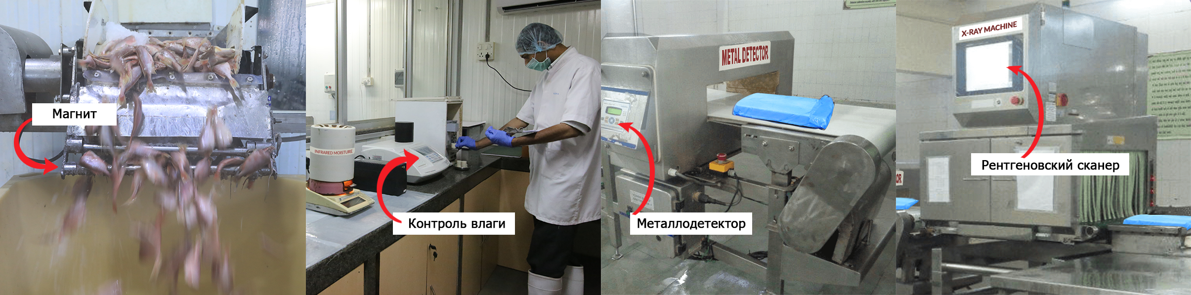 Meena Surimi Plants - Providing the best Surimi from fresh raw material