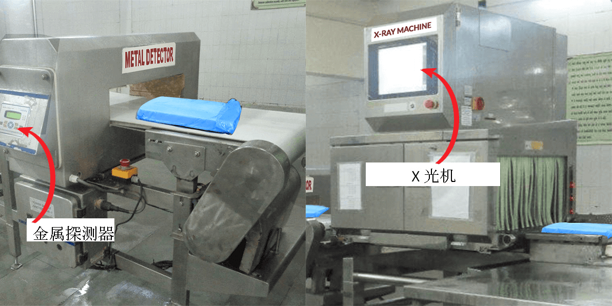 Meena Surimi Plants - Providing the best Surimi from fresh raw material