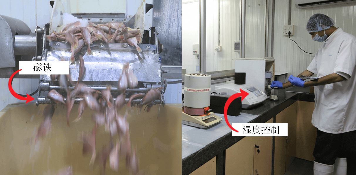 Meena Surimi Plants - Providing the best Surimi from fresh raw material