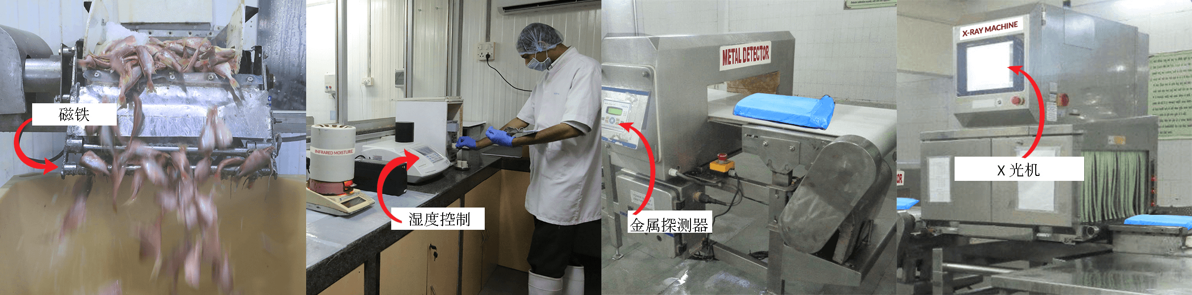 Meena Surimi Plants - Providing the best Surimi from fresh raw material